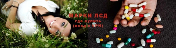 прущие крисы Балахна