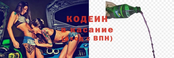 шишки Баксан