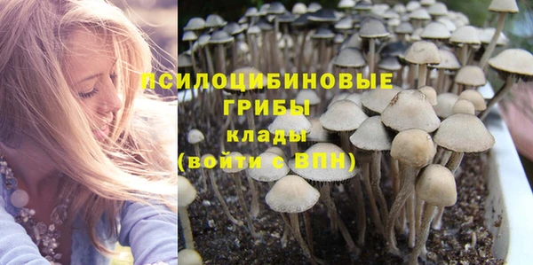прущие крисы Балахна