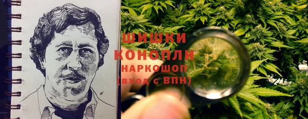 ПСИЛОЦИБИНОВЫЕ ГРИБЫ Балабаново