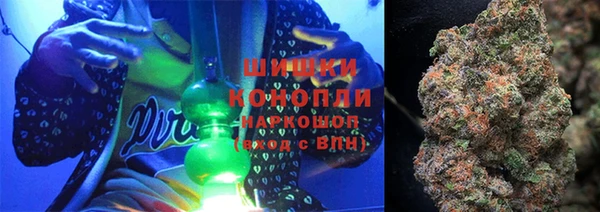 шишки Баксан