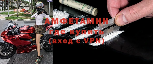 индика Богородск